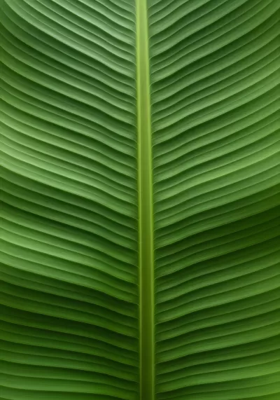 Imagen PNG para descargar